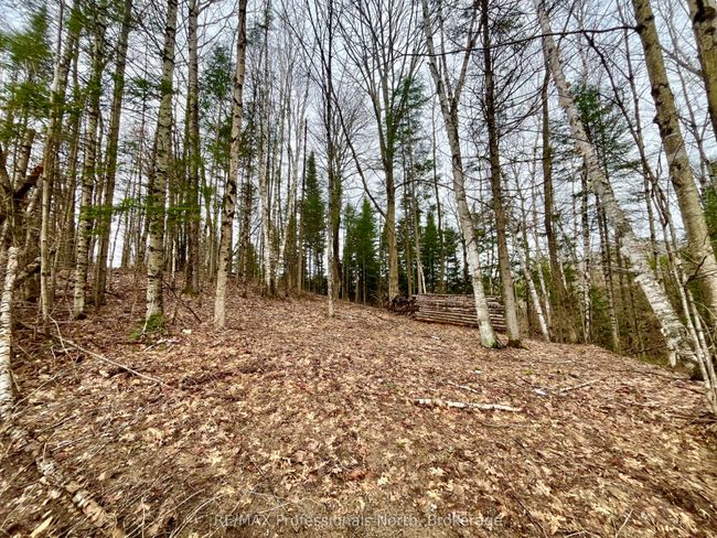 0 Ransley Rd, Home with 0 bedrooms, 0 bathrooms and null parking in Minden ON | Image 9