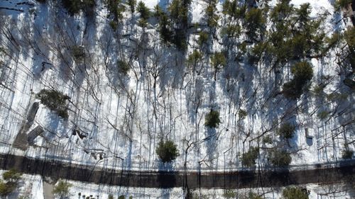 42 Ridgeway Dr, Nobel, ON, P0G1G0 | Card Image