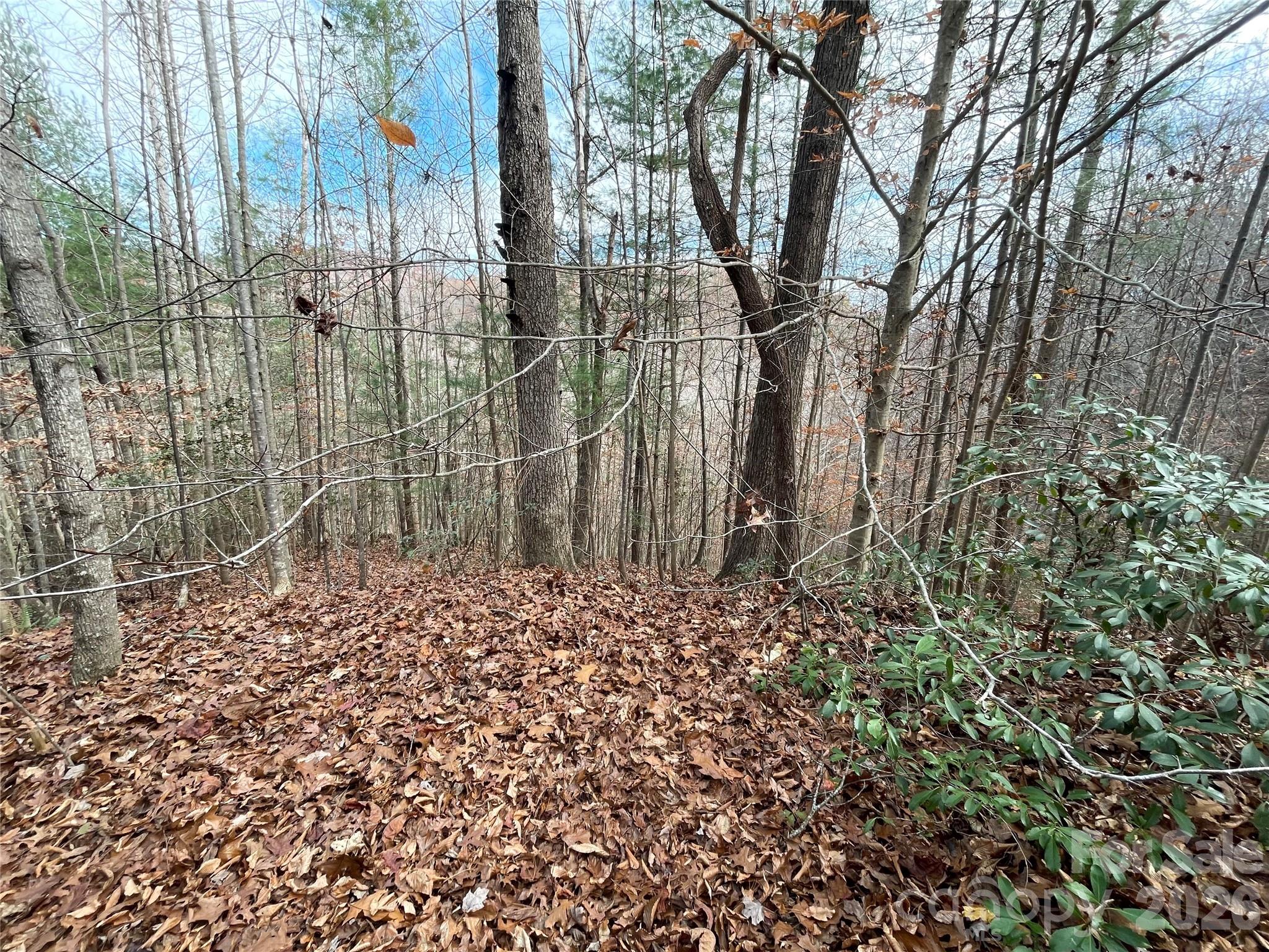 Land in Lenoir 2