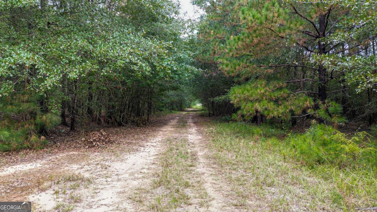 Land in Oglethorpe 3