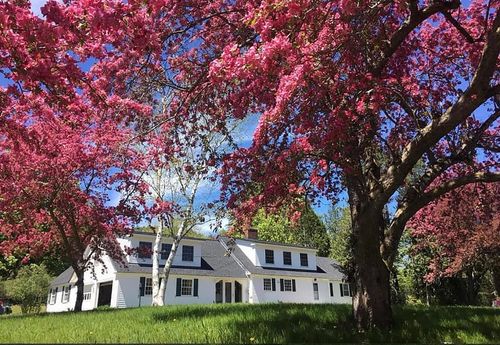 279 Westminster Rd, Putney, VT, 05346-8126 | Card Image