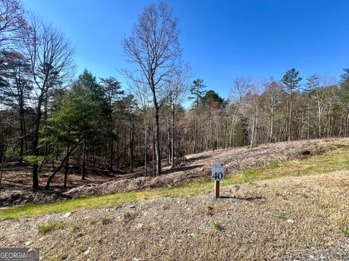 40 Ridgeline Lane, Mineral Bluff, GA, 30559 | Card Image