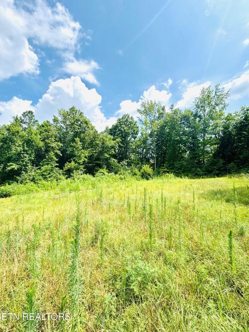 359 Shadows Lawn Dr, Athens, TN, 37303-3956 | Card Image
