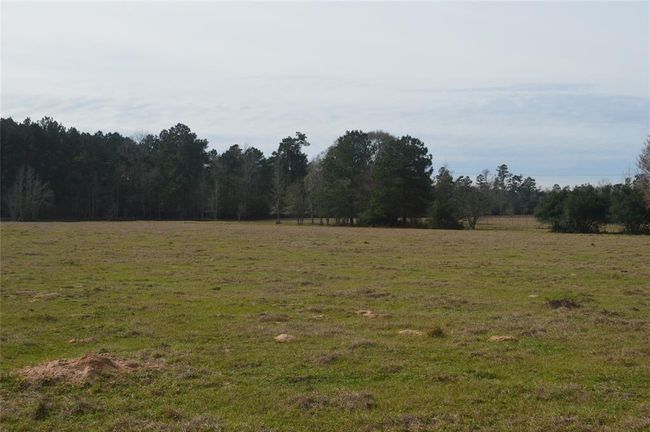 TBD000 Wiggins Rd, Home with 0 bedrooms, 0 bathrooms and null parking in Conroe TX | Image 4