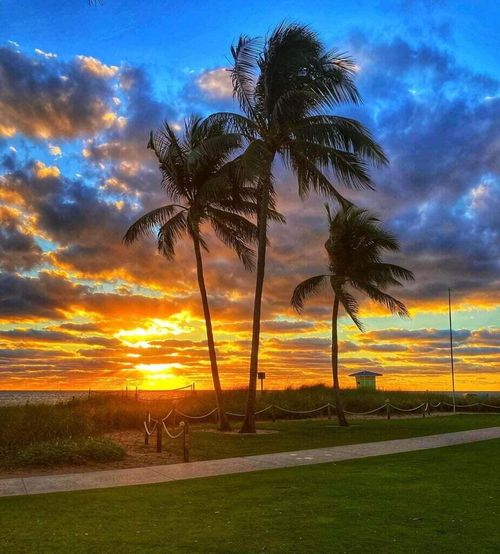 206-6474 Pumpkin Seed Cir, Boca Raton, FL, 33433-5168 | Card Image