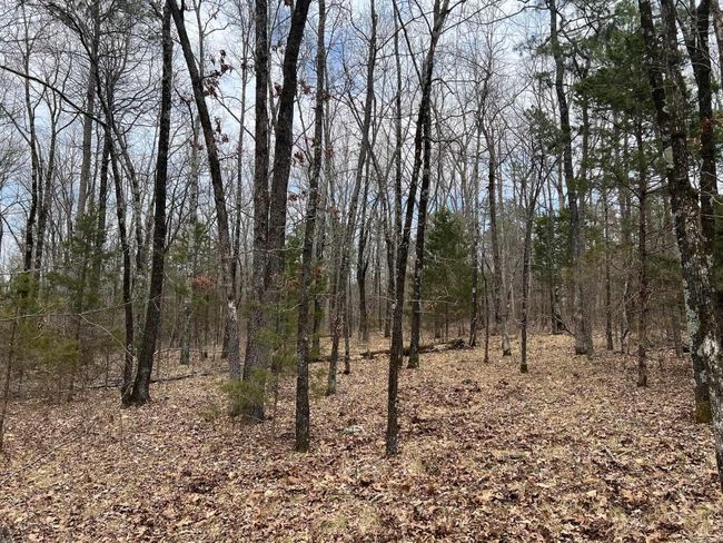 00 Yates Ln, Home with 0 bedrooms, 0 bathrooms and null parking in Tumbling Shoals AR | Image 5