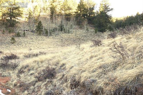 637 Valley Rd, Divide, CO, 80814 | Card Image