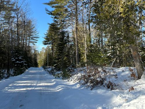 lot 21-10 Toddy Drive, Penobscot, ME, 04476 | Card Image
