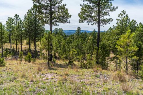 26771 Elk Run Rd, Hot Springs, SD, 57747-7579 | Card Image