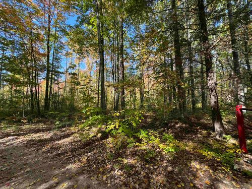 00 Cranberry Lake Rd, Prescott, MI, 48756 | Card Image