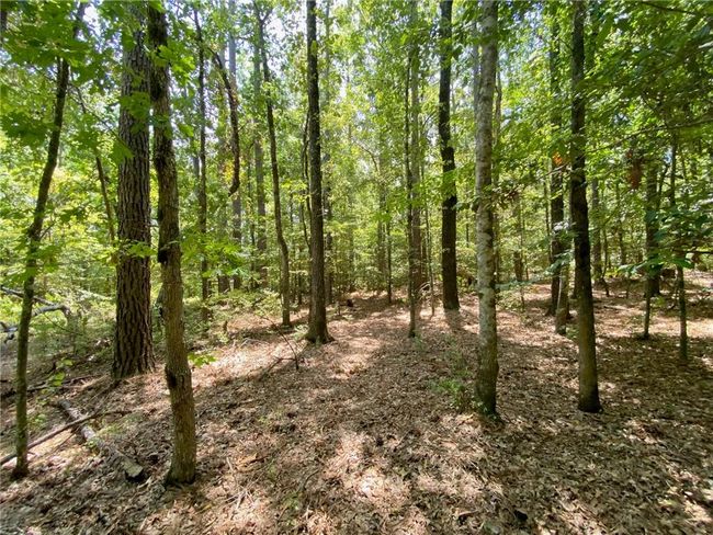 141 Buford Lashley Rd, House other with 1 bedrooms, 1 bathrooms and null parking in Atlanta LA | Image 8