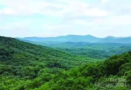 393-419-0 Hickory Nut Ln, Lake Lure, NC, 28746 | Card Image