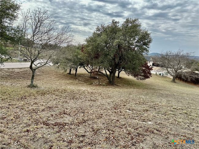 24 Andy's Pt Point, Home with 0 bedrooms, 0 bathrooms and null parking in Burnet TX | Image 4