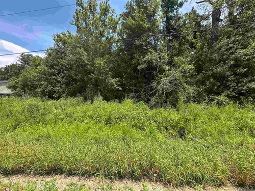 0.53 Acres Split Log Ext, Saint Amant, LA, 70774 | Card Image