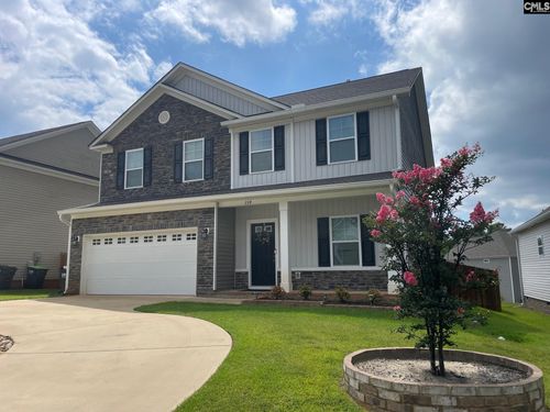239 Doolittle Dr, Chapin, SC, 29036-9823 | Card Image