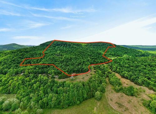 00 Sunk Cane Rd, Crawford, TN, 38554 | Card Image