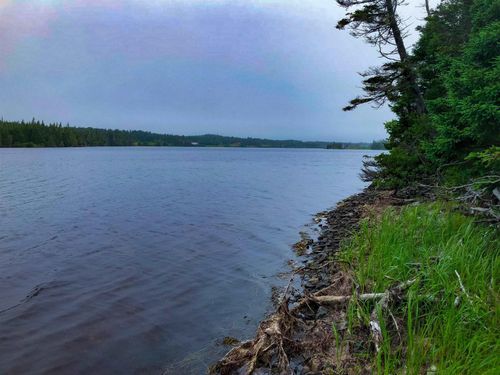 lot-290 E Side Grand River Rd, Grand River, NS, B0E1M0 | Card Image