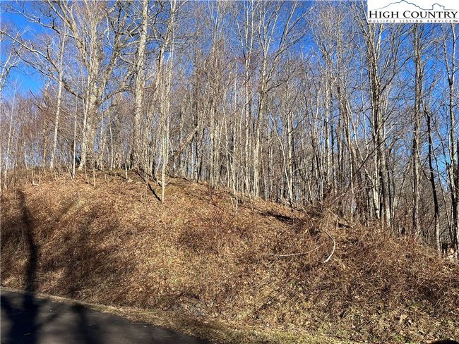 33 Paradise Valley Circle, Home with 0 bedrooms, 0 bathrooms and null parking in Creston NC | Image 13
