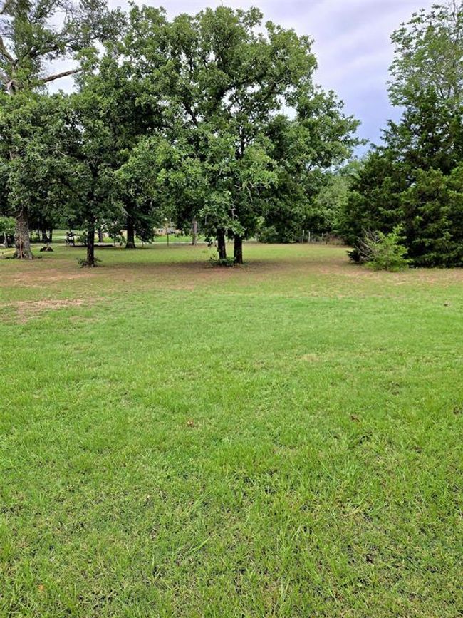 Spacious grassy yard with mature trees, offering a serene and open atmosphere perfect for outdoor activities. | Image 31