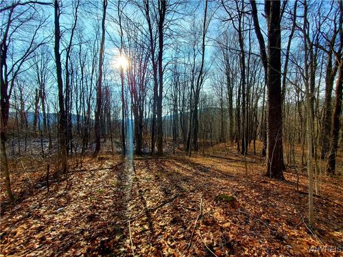 7200 Kent Road, Mansfield, NY, 14731 | Card Image