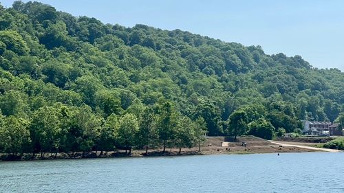 136 Bunola River Rd, Monongahela, PA, 15063-4000 | Card Image