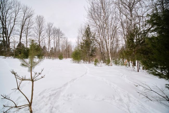 Property views | Image 45