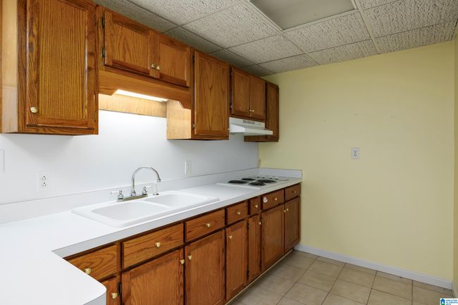 523 Seminole Trl, House other with 3 bedrooms, 3 bathrooms and null parking in PELL CITY AL | Image 49