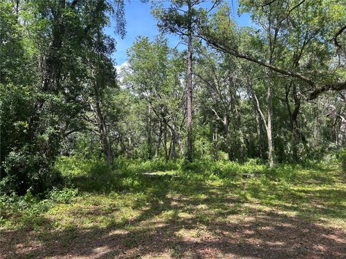 TBD (lot #25) Se 192nd Ct, MORRISTON, FL, 32668 | Card Image