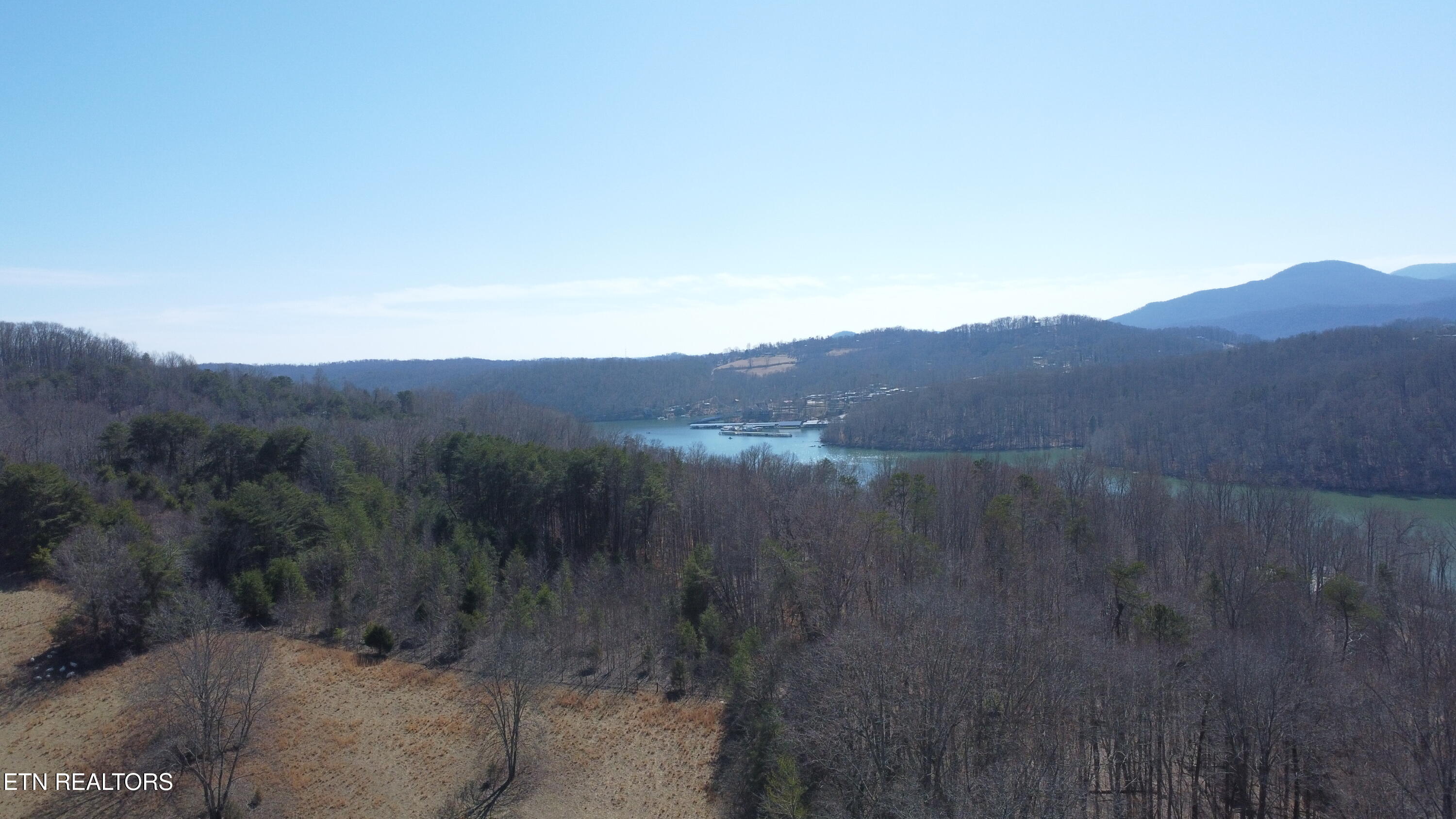 Land in Jacksboro 2