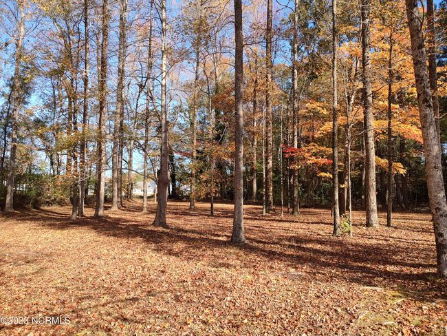 130 Gambit Ct, Home with 0 bedrooms, 0 bathrooms and null parking in Washington NC | Image 5