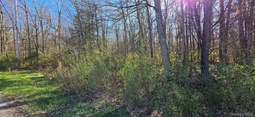 Lot 70 Cushetunk Dr, Cochecton, NY, 12726-5714 | Card Image