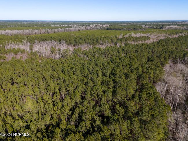 00 Sykes Town Rd, Home with 0 bedrooms, 0 bathrooms and null parking in Currie NC | Image 40