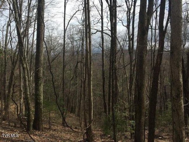 00 Heaton St, Home with 0 bedrooms, 0 bathrooms and null parking in Roan Mountain TN | Image 4