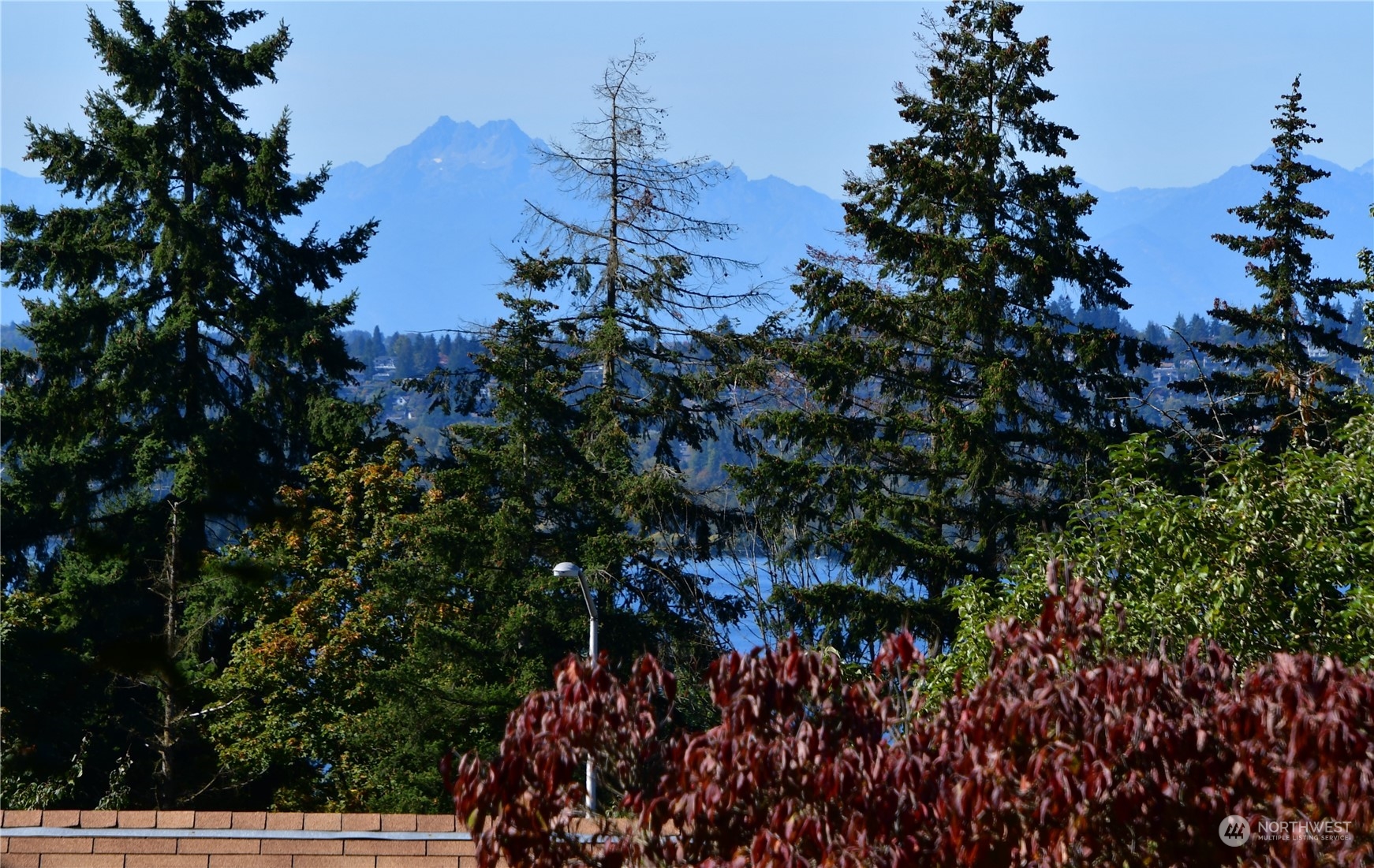 80th St, Kirkland, WA 98033