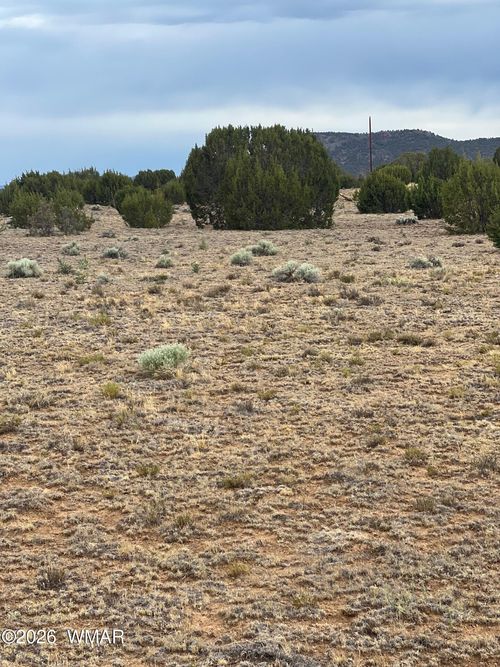 8206 Concho Hwy, Concho, AZ, 85924 | Card Image