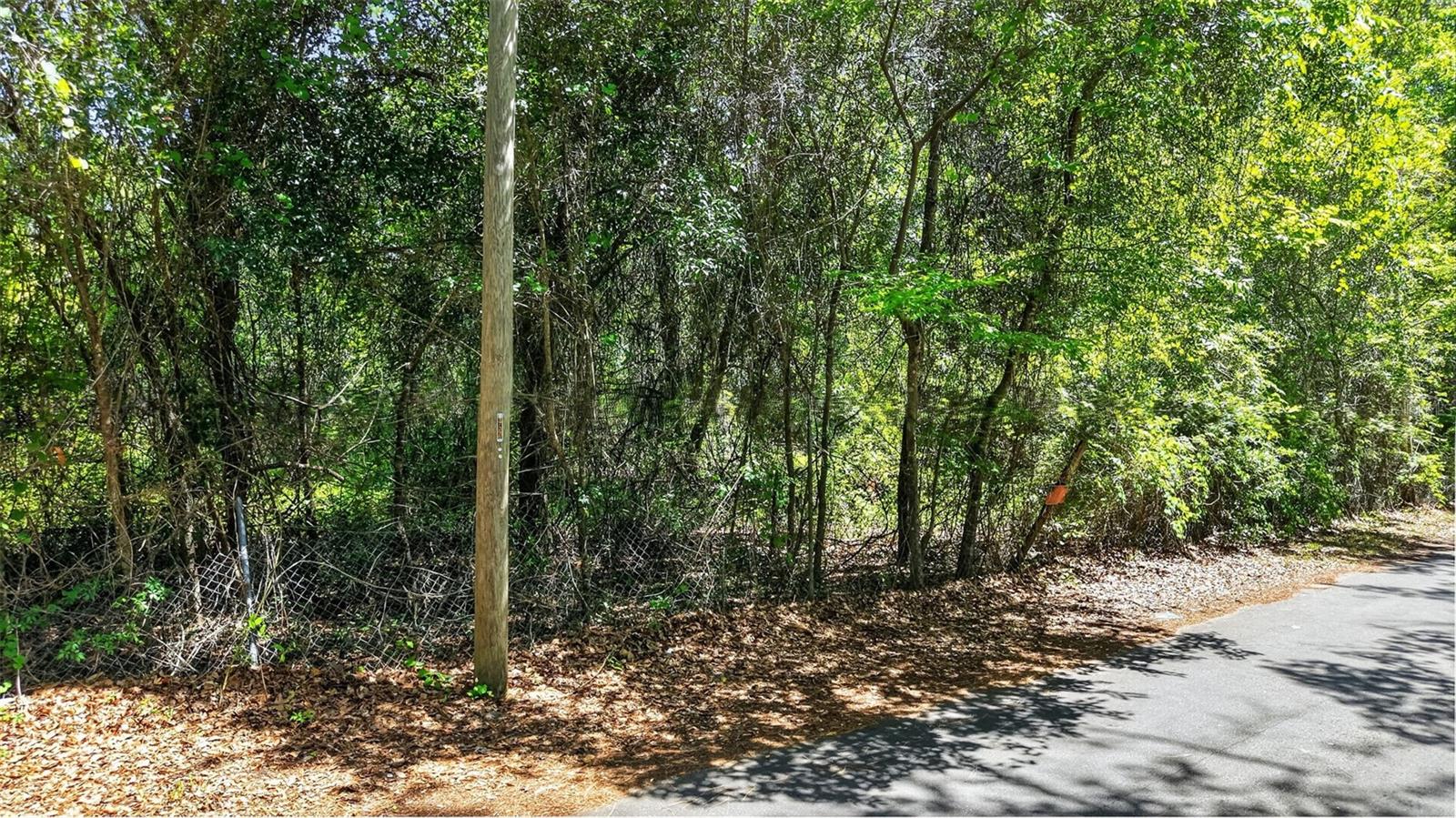 Land in GAINESVILLE