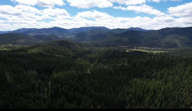 1876 Timber Creek Rd, House other with 8 bedrooms, 6 bathrooms and null parking in Haugan MT | Image 85