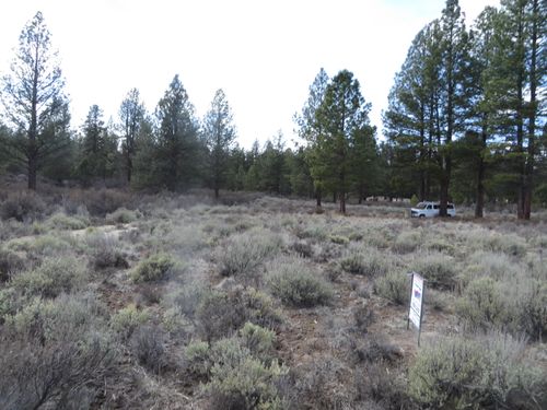 310 Laura Ln, Chiloquin, OR, 97624 | Card Image
