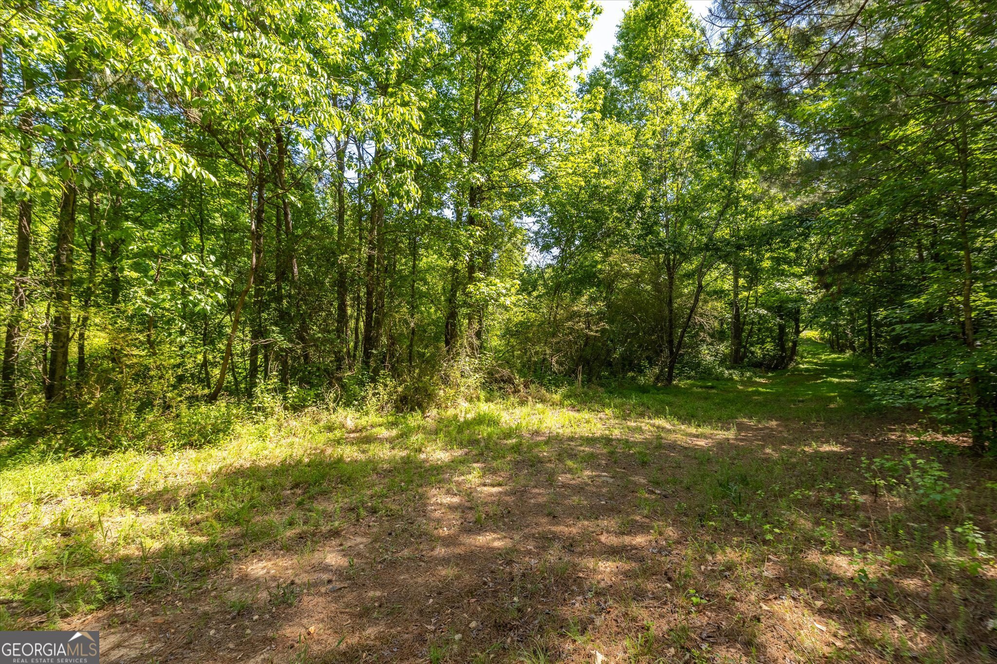 Land in Monroe 2