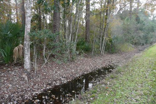 0 Old Deland Rd, DAYTONA BEACH, FL, 32124 | Card Image