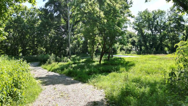 1566 Riverview Dr, Home with 0 bedrooms, 0 bathrooms and null parking in Norfork AR | Image 5