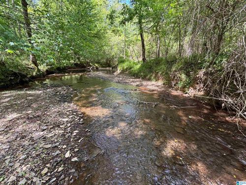 149-acres-498 Blackwood Road, PARRISH, AL, 35580 | Card Image