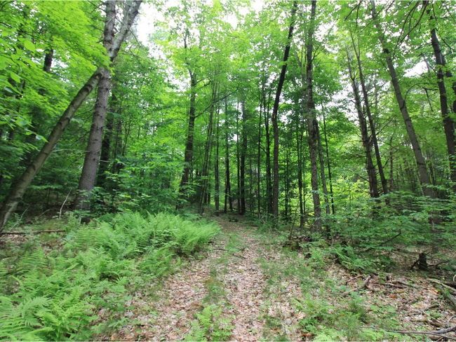 Lot 4 Piney Grove Ln, Home with 0 bedrooms, 0 bathrooms and null parking in Underhill VT | Image 13