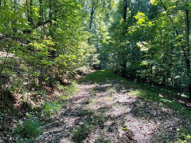 76 Tally Cove Rd, Home with 0 bedrooms, 0 bathrooms and null parking in Jasper GA | Image 13