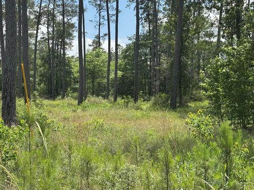 008 Private Road 6028, Brookeland, TX, 75931 | Card Image