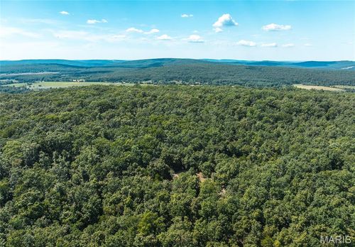2 Buck Mountain Rd, Unincorporated, MO, 63667 | Card Image