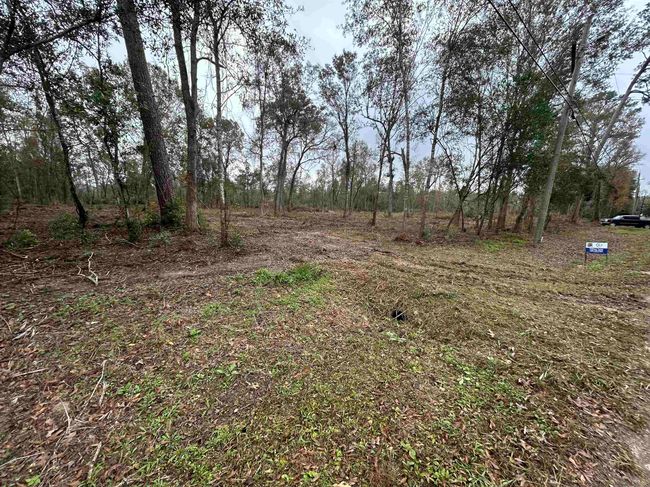 001 N China Rd, Home with 0 bedrooms, 0 bathrooms and null parking in Beaumont TX | Image 5