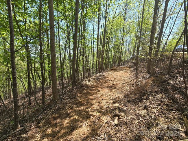 Lot 24 High Rock Rdg, Home with 0 bedrooms, 0 bathrooms and null parking in Lake Lure NC | Image 6