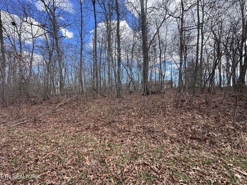 9-9 Tama Trce, Crossville, TN, 38572 | Card Image