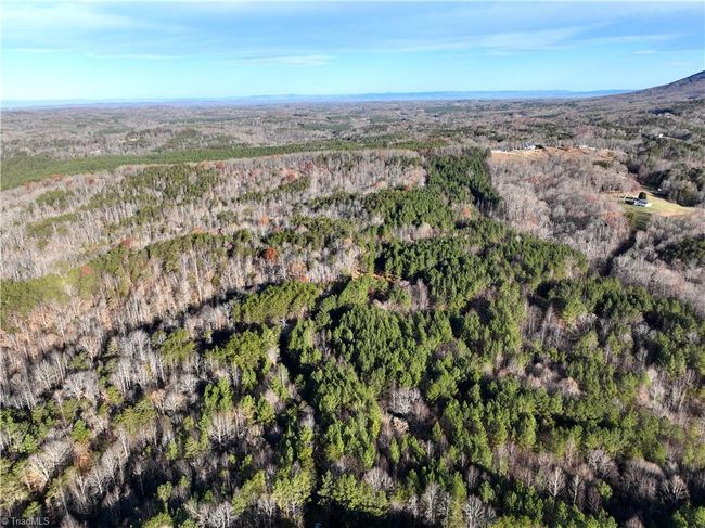 Lot 2- 0 Bowen Rd, Home with 0 bedrooms, 0 bathrooms and null parking in Pinnacle NC | Image 8
